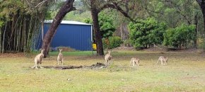 Roo Or 2 on Streeter